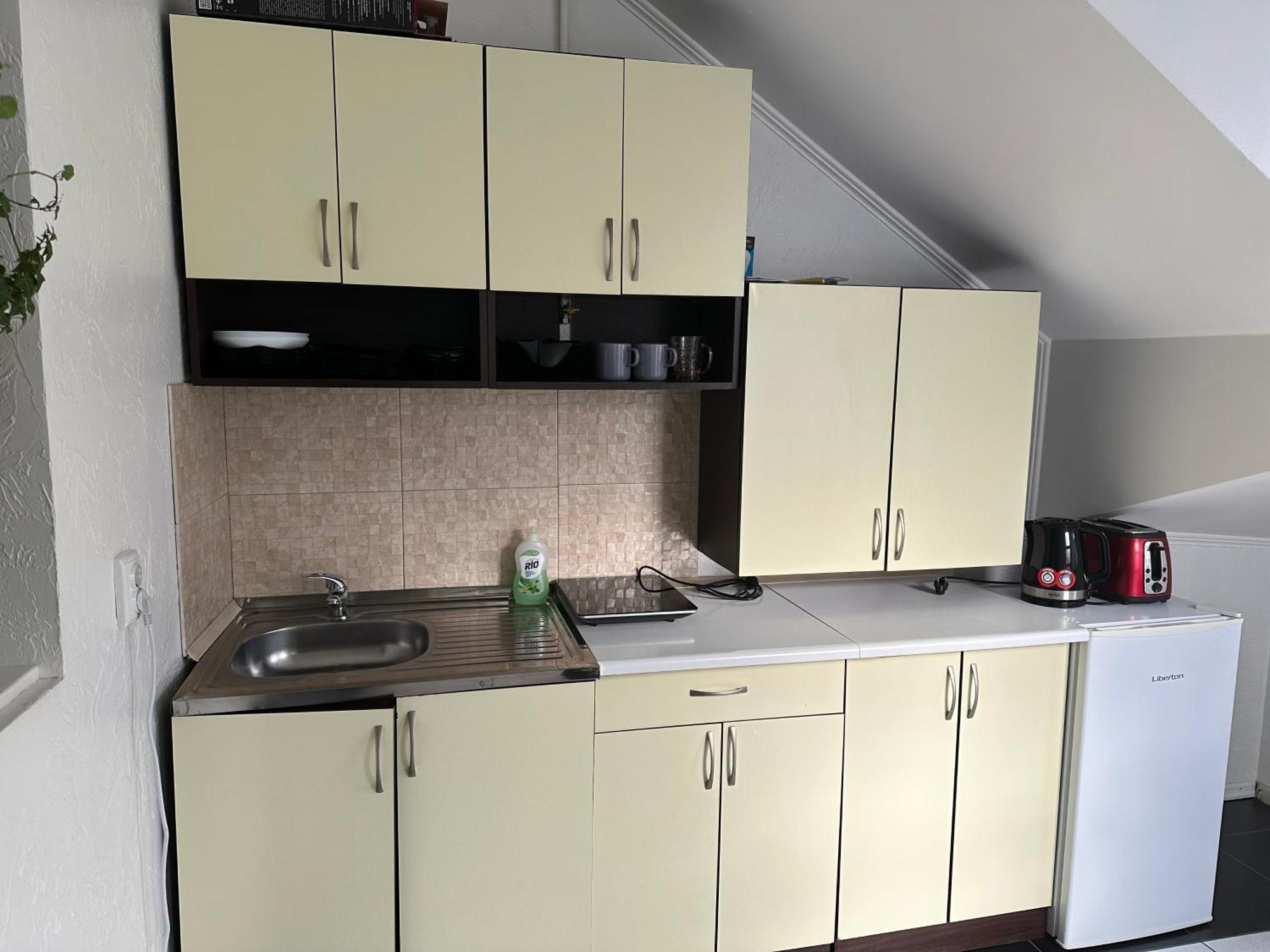 Appartement Guculka à Yaremtche Extérieur photo